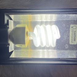 Light Small Reptile  canopy, light and lamp in Royal Palm Beach