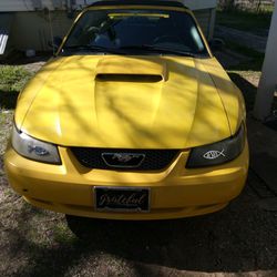 Ford Mustang GT 5.0 Engine Yellow 2nd Owner Runs Great 