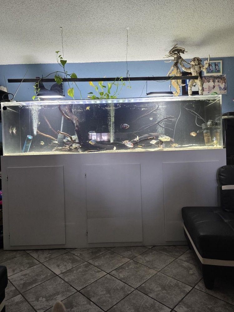 fish tank for sale