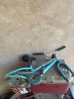 Specialized hot rock 16” roller
