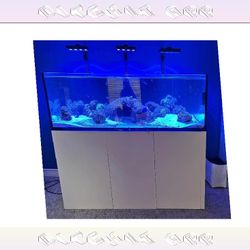 financial office Giant Aquarium Tank - Spacious & Magnificent