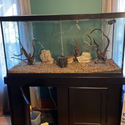 Fish Tank