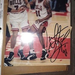 Dennis Rodman Autographed Photo With Coa