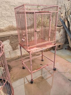 Parrot Cage