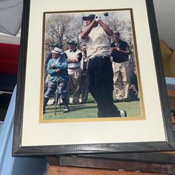 Vintage Tiger Photo