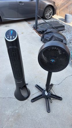 Fans