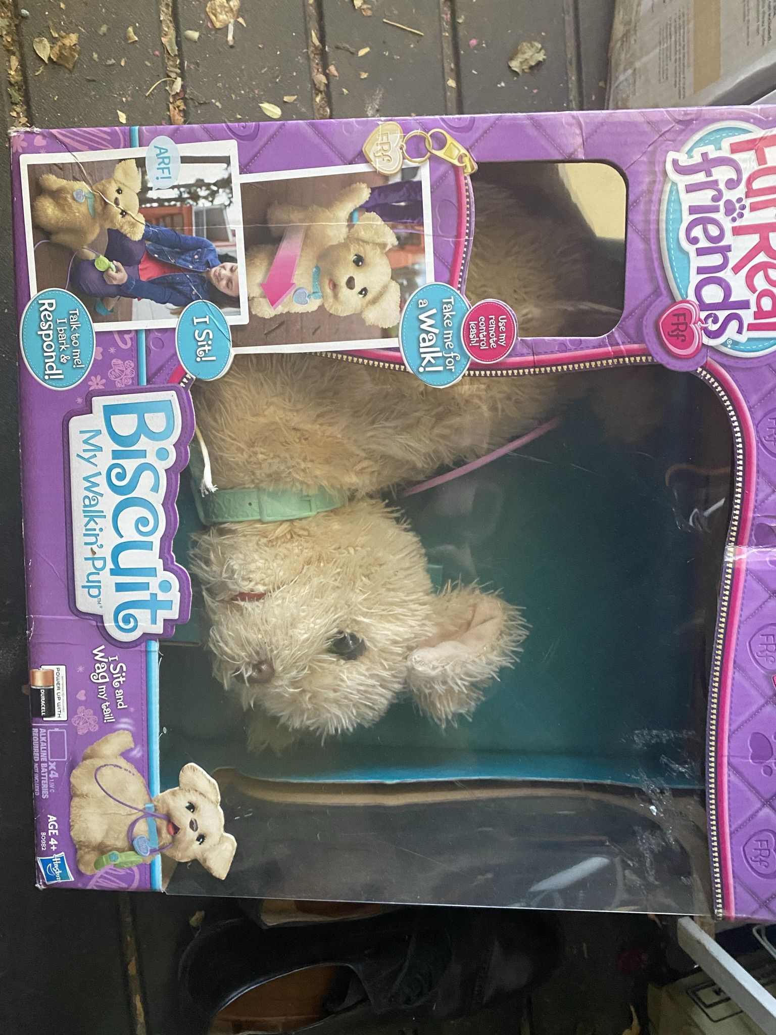 Dog Toy