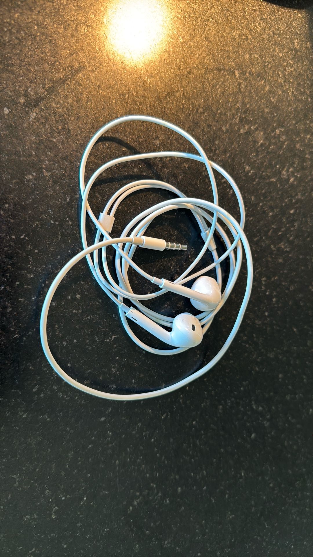 Apple Earbuds Used