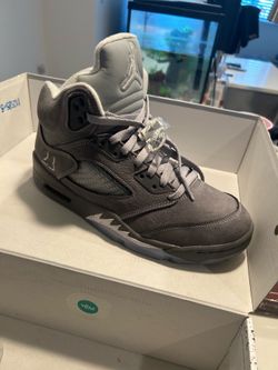 Wolf grey 5