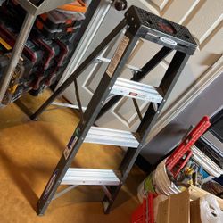 Werner 4’ Ladder