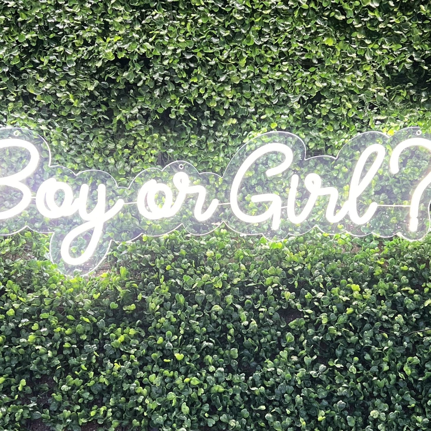 Boy Or Girl Led Neon Sign 