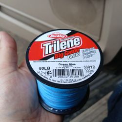 Fishing Lines 