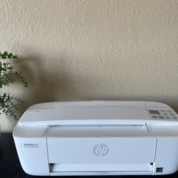 HP Printer