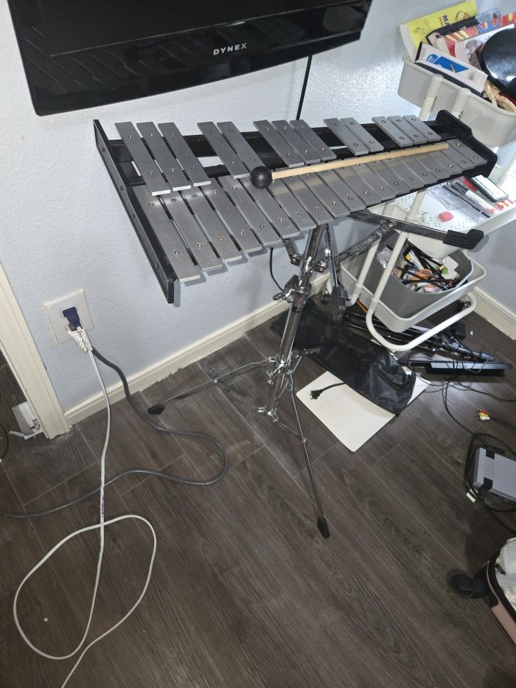 Kid Xylophone School Band