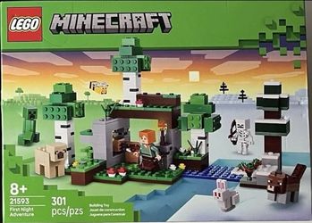 LEGO Minecraft: First Night Adventure (21593)
