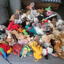Beanie babies.