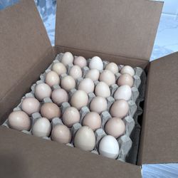 Huevos Orgánicos $6 