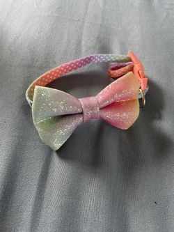Small Dog Collar