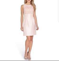 Tahari Blush Pink Embroidered Dress Size 10p