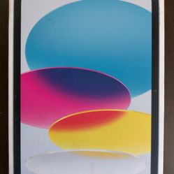 256GB iPad 10th Generation Wifi