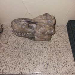 TREX SKULL 4 SALE