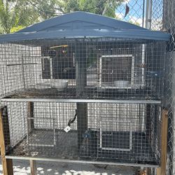 Bird / Parrot Cage 