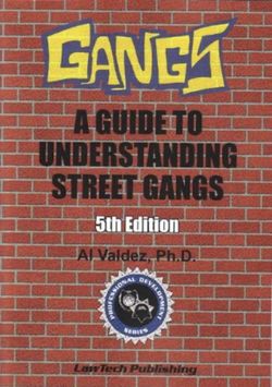 Gangs A Guide To Understanding Street Gangs 5th Ed