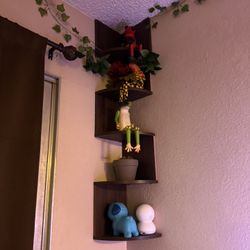Decor, Shelves (2)