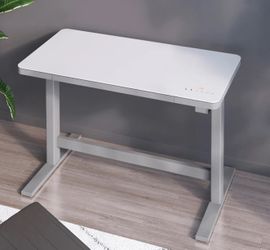 Tresanti Geller 47” Adjustable Height Desk