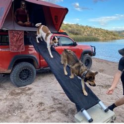 DOGGO RTT Ramp