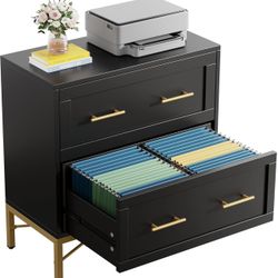 2 Drawer File Cabinet  - X2