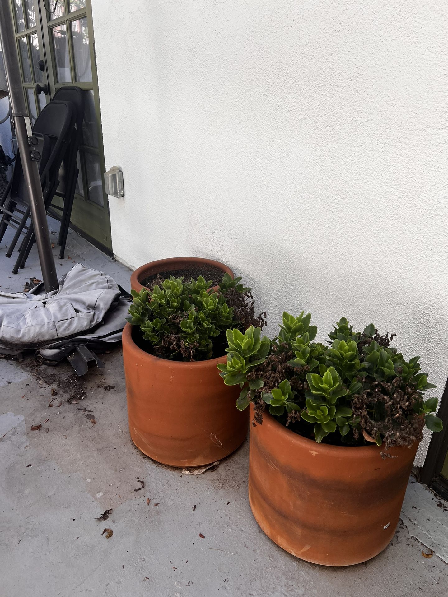 Terra Cotta Pots And Plants