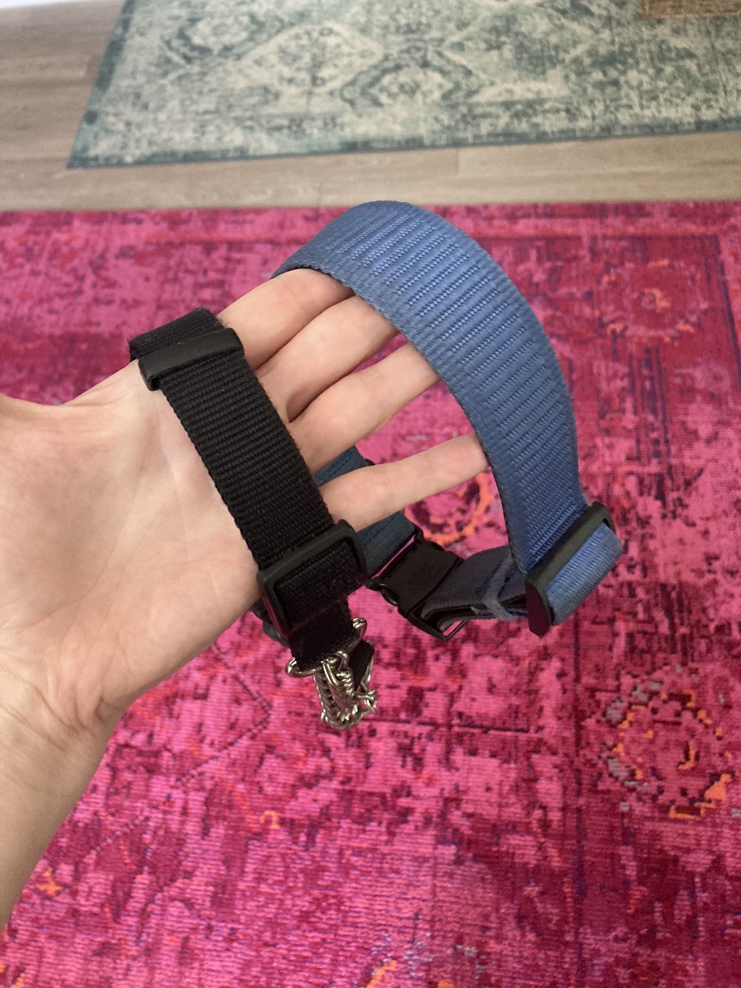 Free Dog Collars