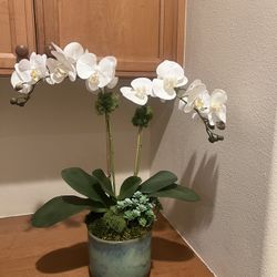Like New Condition Artificial Plants/flowers