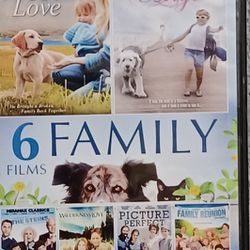 Family Films 6 DVD Puppy Love Angel Perfect Reunion Steins
