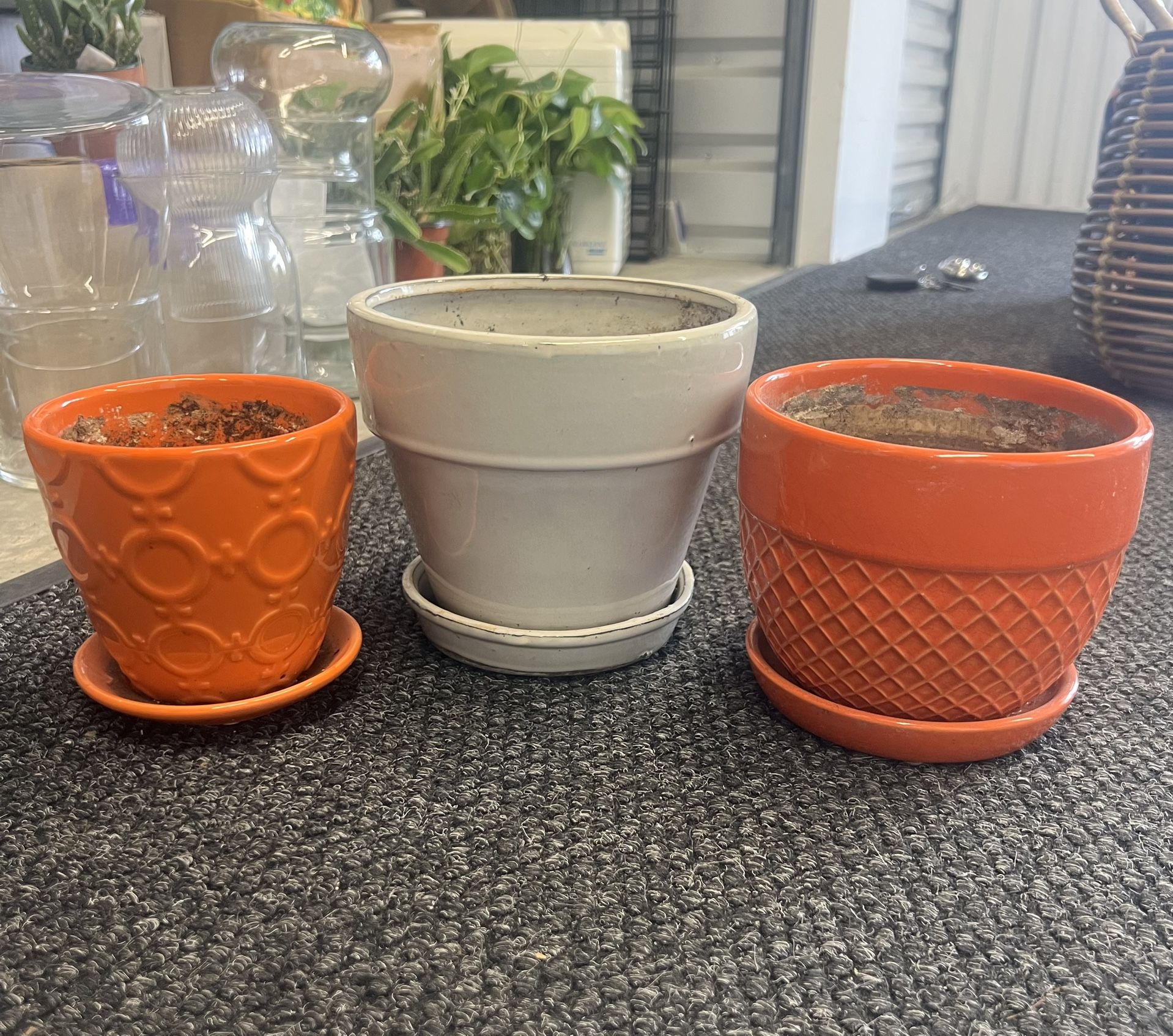 3 Ceramic Planters