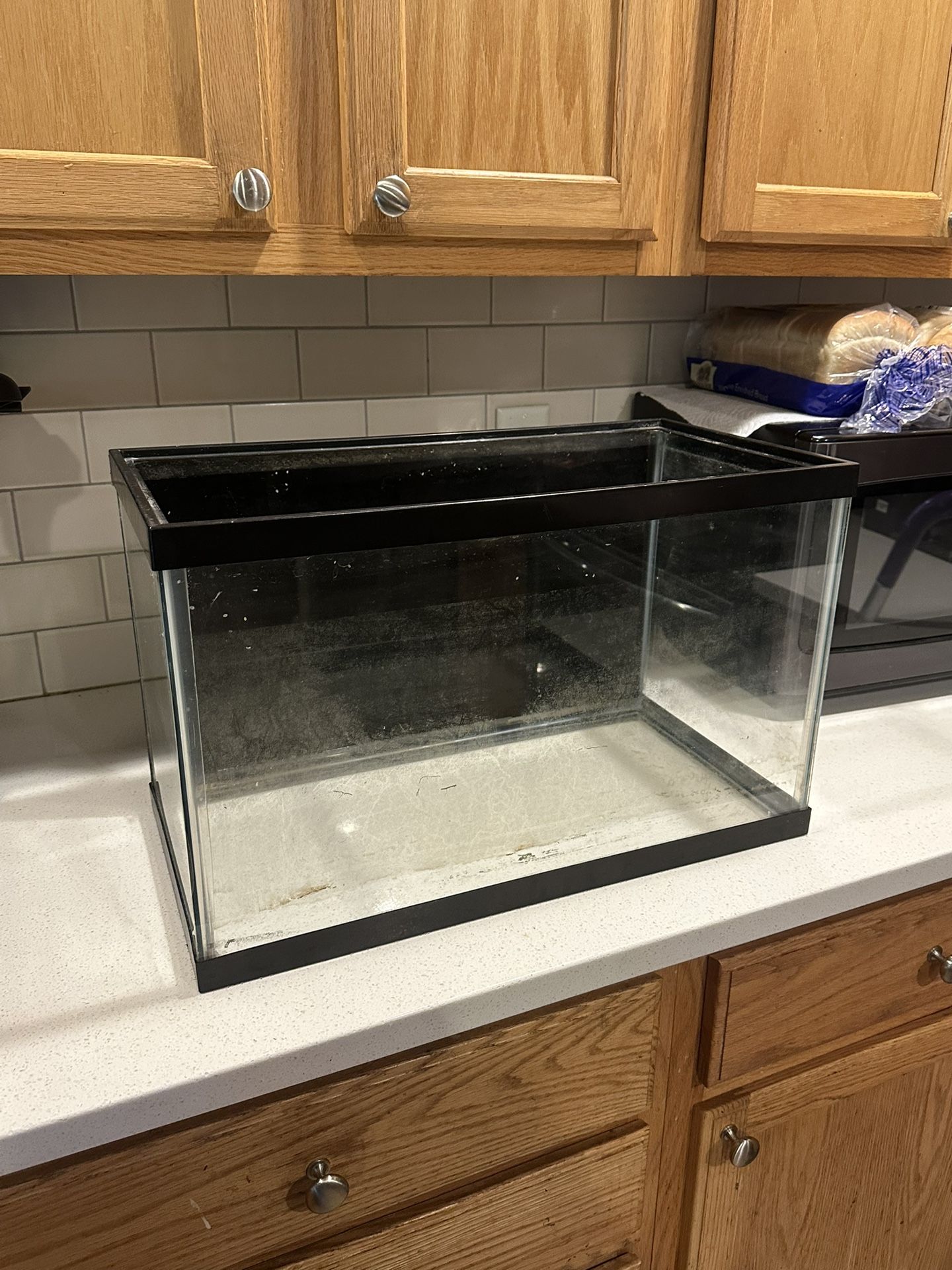 10 Gallon Fish Tank