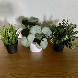 3 Artificial Plants