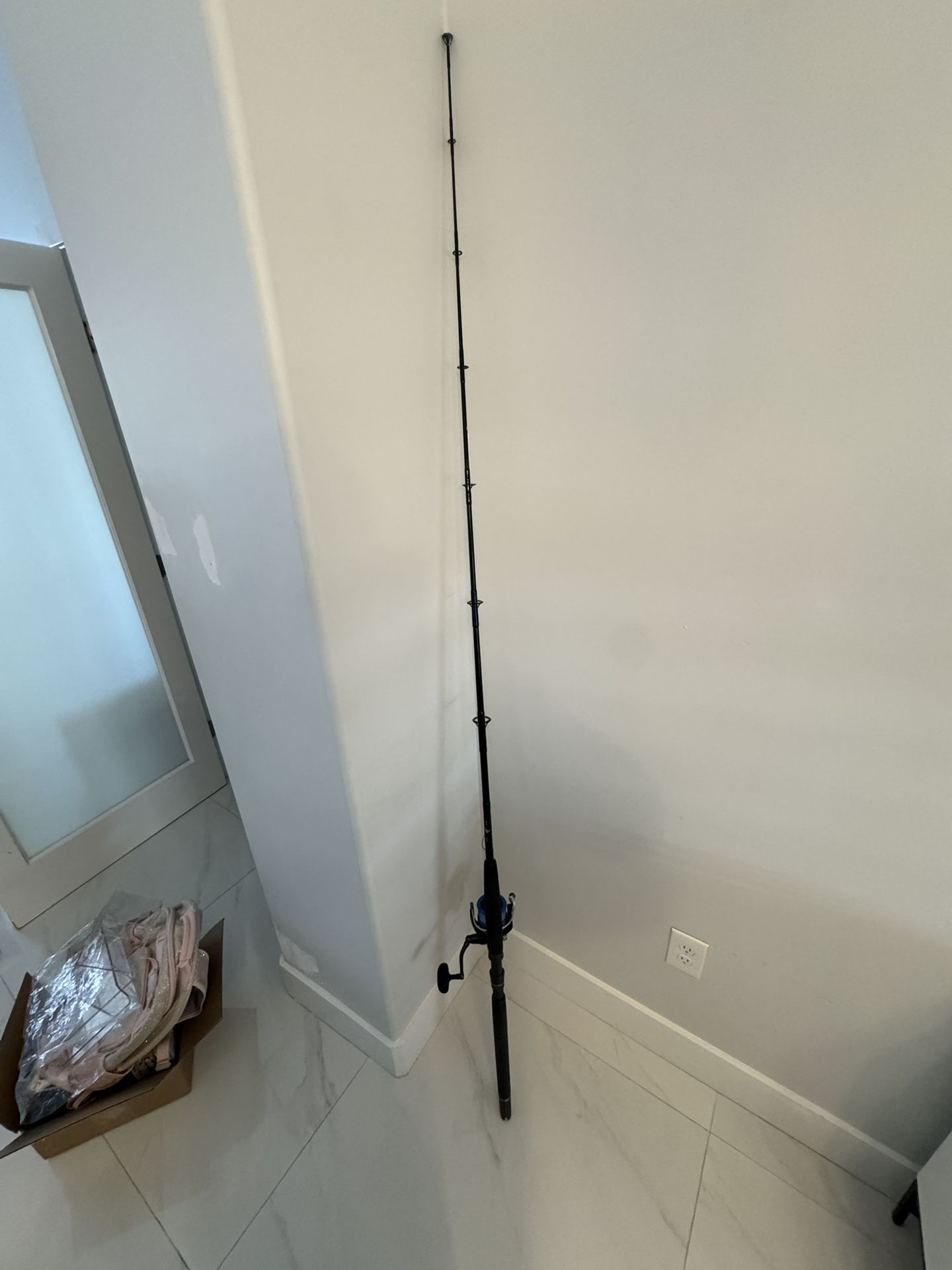 Saltist 6500H Spinner with Custom Biscayne Rod