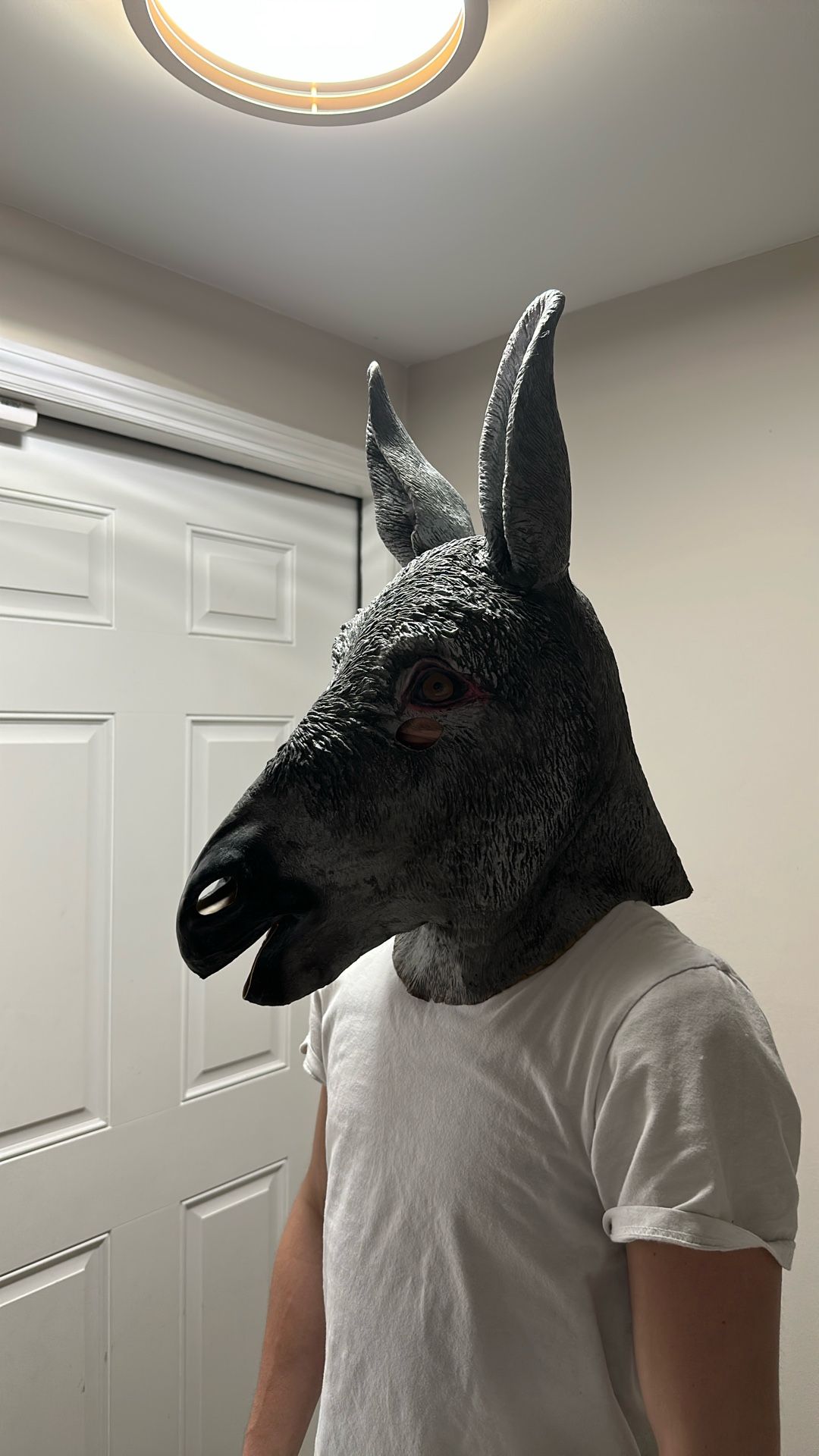 Halloween Mask