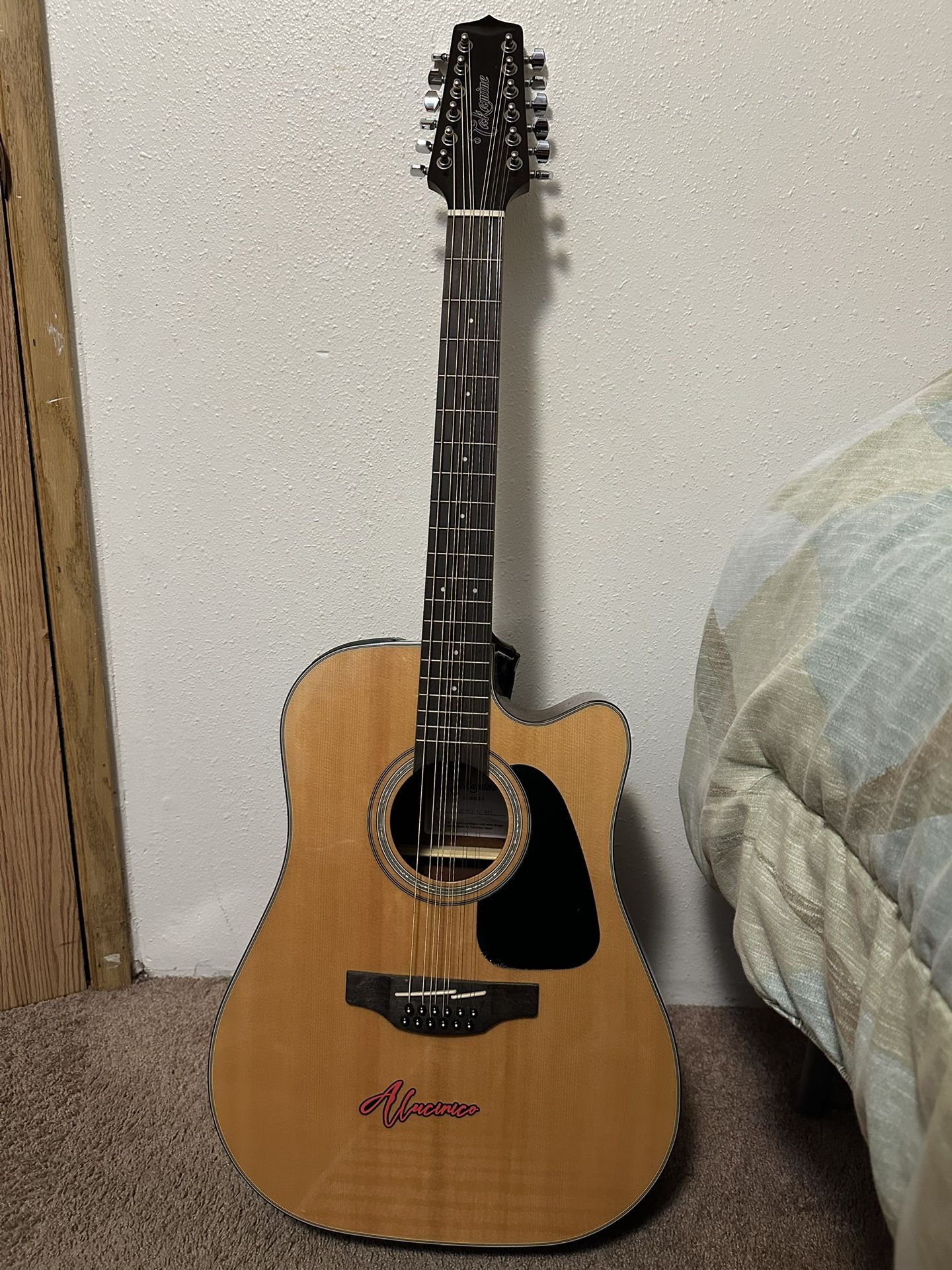 takamine acoustic guitar 12 string