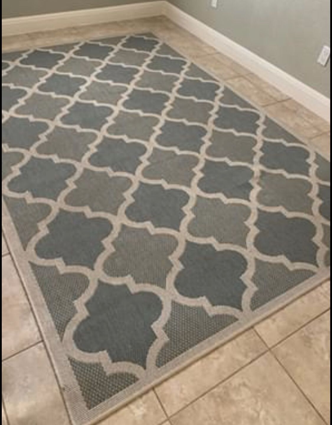 6x9 large indoor/outdoor rug