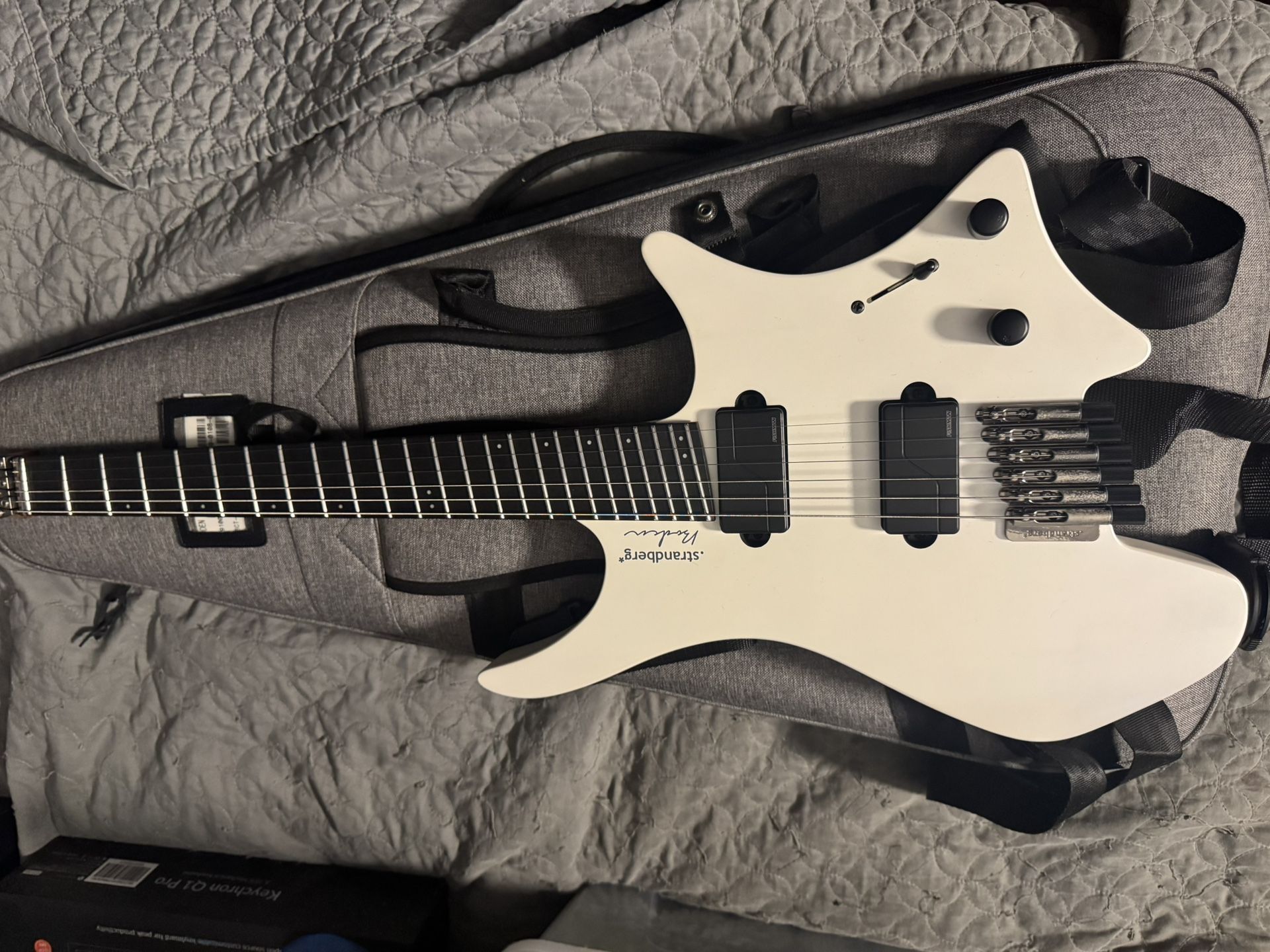 Strandberg Boden Metal 6