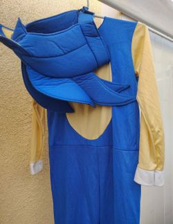 Sonic costume