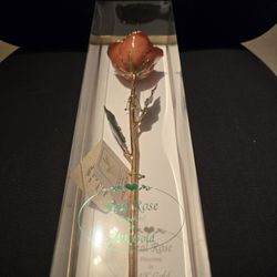Laquer dipped gold trim rose