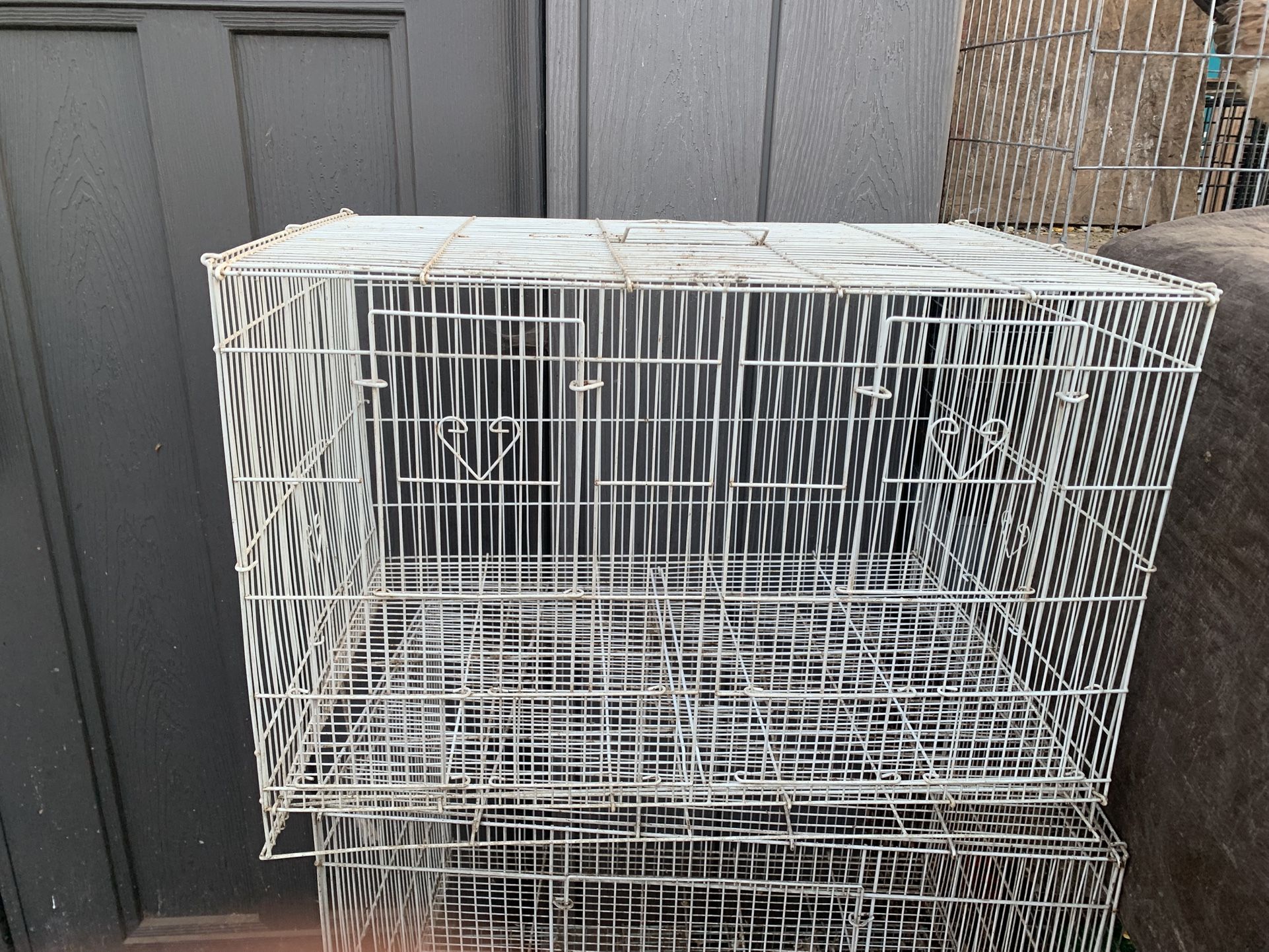 Bird Cages