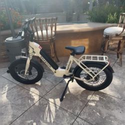 Magnum/ Pathfinder E Bike