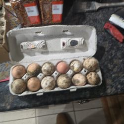 Chicken Eggs 