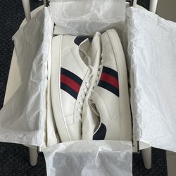 Gucci ace Sneakers