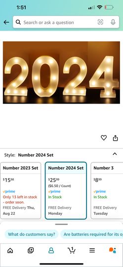 LED 2024 Numbers